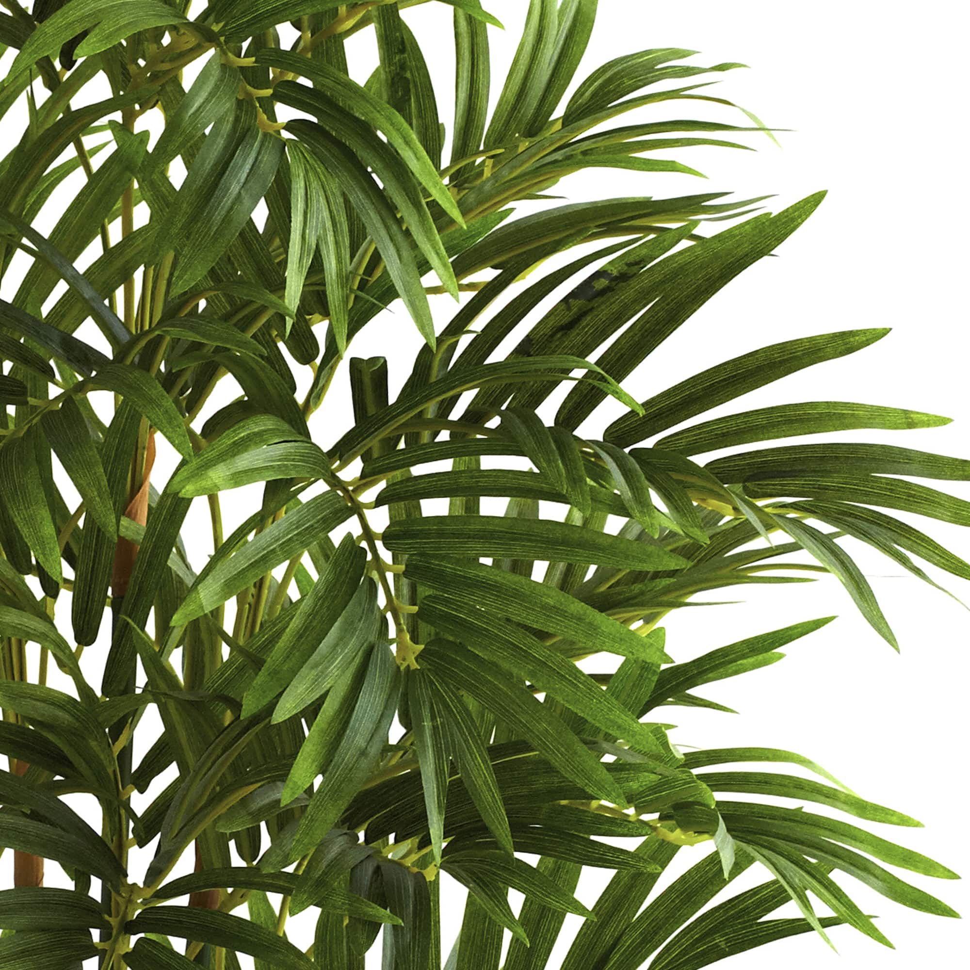 3ft. Potted Areca Palm Tree